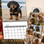 🥰 Spotted Dachshund Calendar 2027, Cute Wall Decor And Gift For Fans