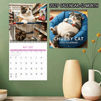 🐈2027 Chubby Cat Calendar
