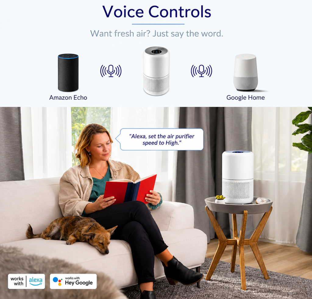 Air Purifier for Home, High-Efficiency HEPA Filtration, Quiet Sleep Mo ...