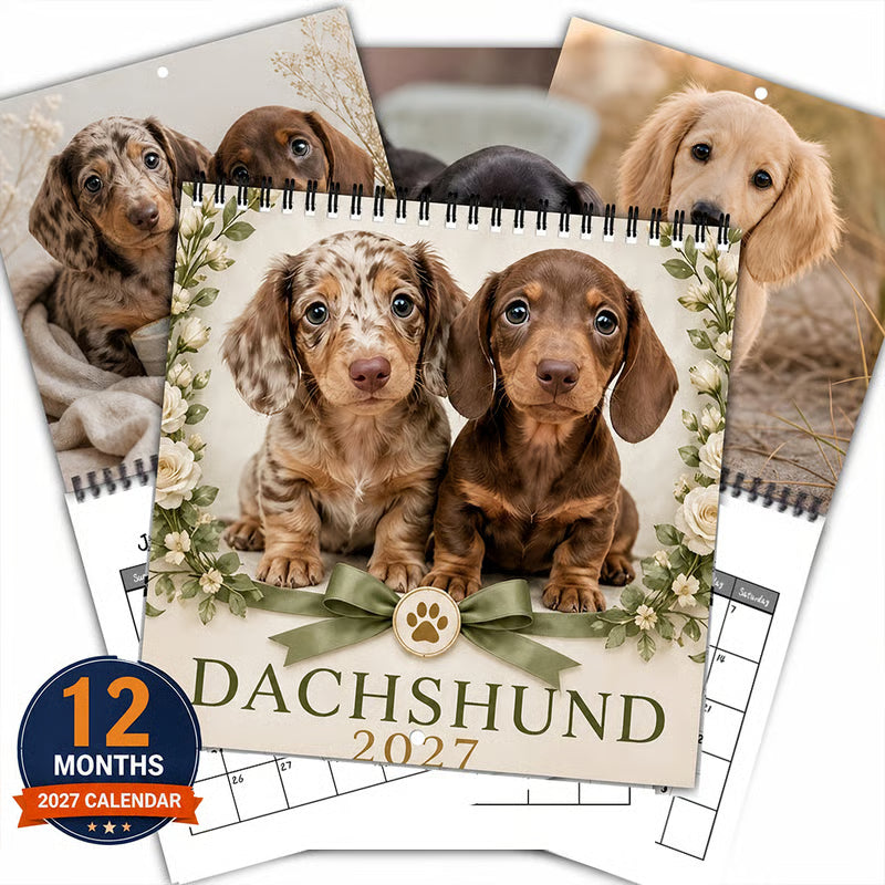 🥰 Spotted Dachshund Calendar 2027, Cute Wall Decor And Gift For Fans