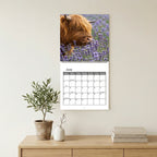 🐮 Highland Cow Adventures 2027 Wall Calendar – 12 Months of Charming Highland Cows & Rustic Countryside Moments